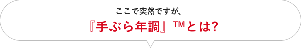 ここで突然ですが、『手ぶら年調』™とは?