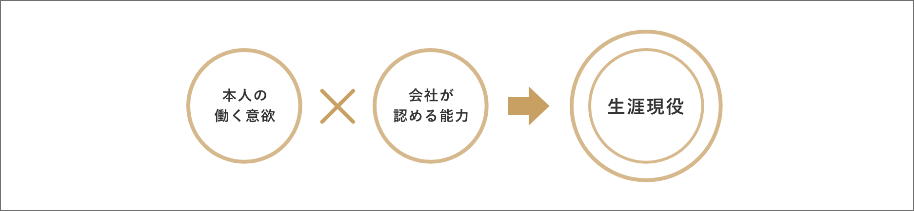 本⼈の働く意欲 会社が認める能力 ⽣涯現役